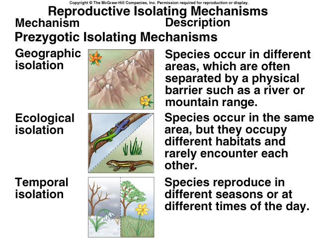 reproductive isolation speciation