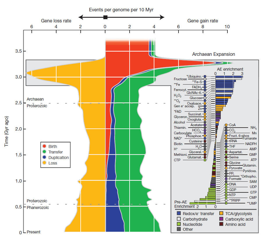 Gene Expansion in Archaea PreCambrian