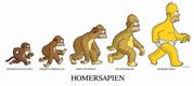 https://smithlhhsb122.wikispaces.com/file/view/homer-evolution%5B1%5D.jpg/473073552/homer-evolution%5B1%5D.jpg