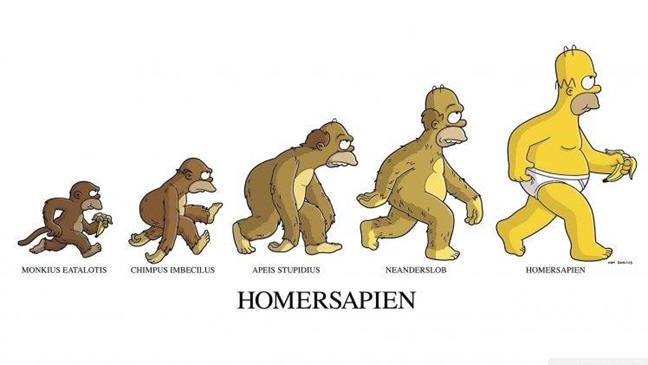 homer sapiens
