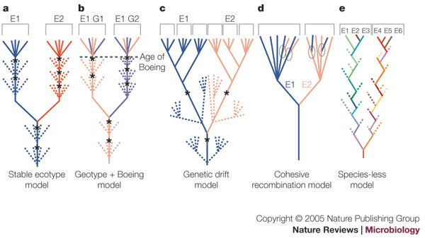 Re-evaluating prokaryotic species