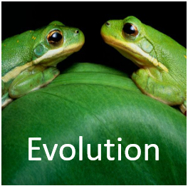 evolution course icon